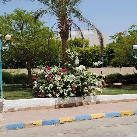 Sharm Cliff Resort-3